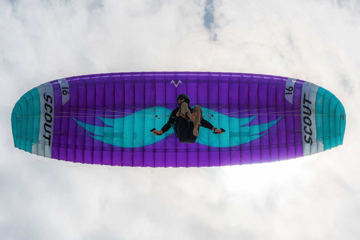 Scout 19m demo