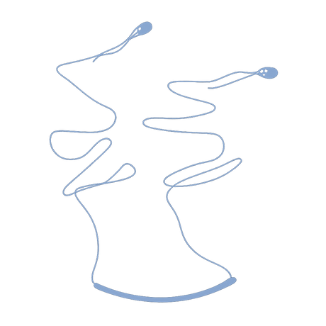 Speedbar