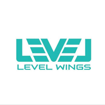 Level Wings logo
