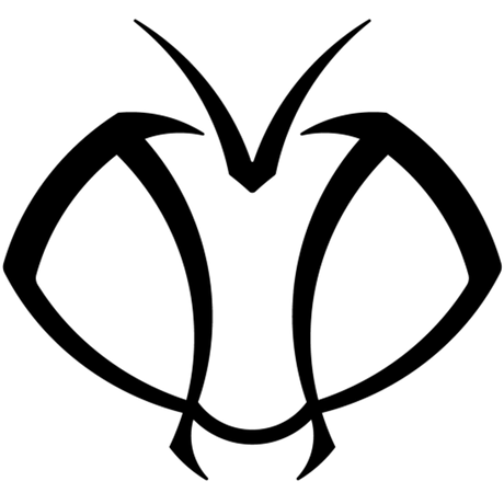 FlySight logo