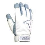 Winter Gloves