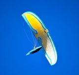 Falcon
