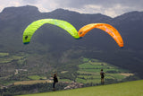Dent de Lion