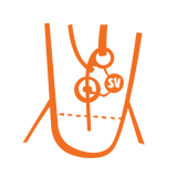 Hovedkontroll