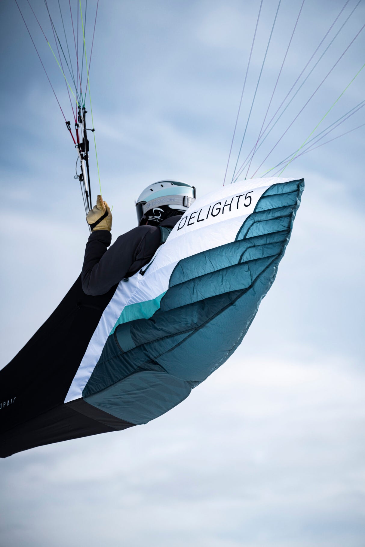 Delight 5