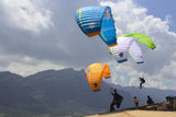 Dent de Lion