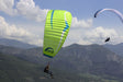 Dent de Lion