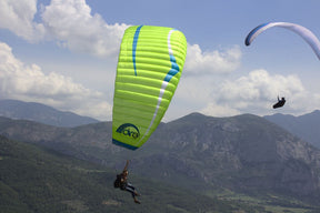 Dent de Lion